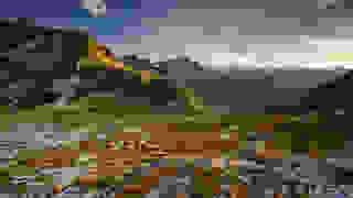 Sandro Tresch Photography